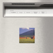 Weizenfeld im Wallowa Valley, direkt außerhalb Magnet (In Situ (Geschirrspüler))