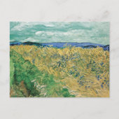 Weizenfeld Kornblumen Vincent van Gogh Postkarte (Vorderseite)