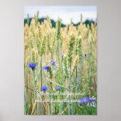 Weizenfeld mit blauen Kornblumen Poster (Vorne)