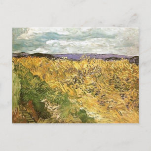 Weizenfeld mit Cornflowers Van Gogh Fine Art Postkarte