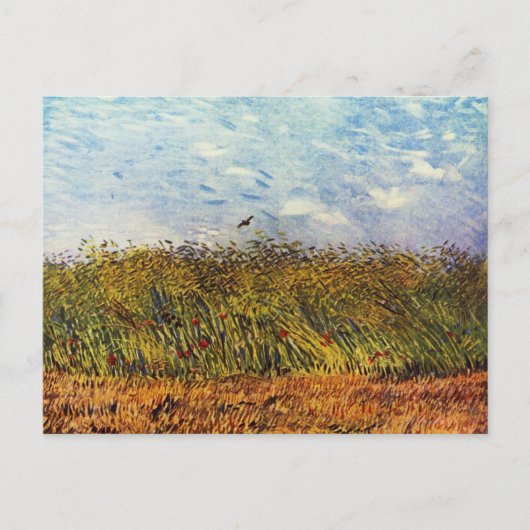 Weizenfeld mit einer Lerche Postkarte (Vorderseite)