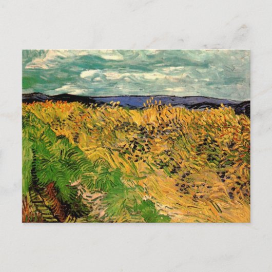 Weizenfeld mit Kornblumen von Vincent van Gogh Postkarte (Vorderseite)