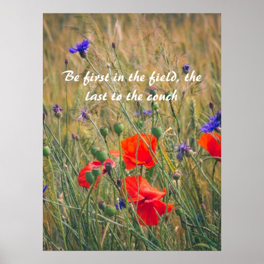Weizenfeld mit Mohn und Maisblumen Poster (Vorne)