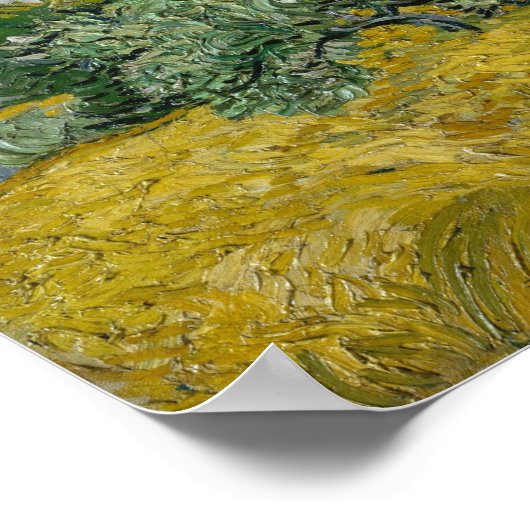 Weizenfeld mit Zypressen Poster (Ecke)