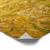 Weizenfeld mit Zypressen von Vincent Van Gogh Poster (Ecke)