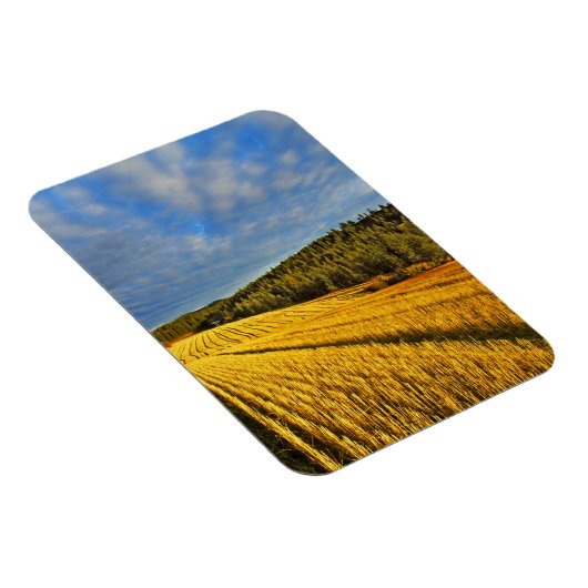 Weizenfeld nach Ernte Magnet (Rechte Seite)