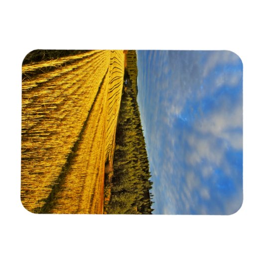 Weizenfeld nach Ernte Magnet (Horizontal)