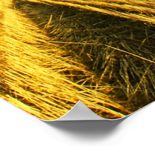 Weizenfeld nach Ernte Poster (Ecke)