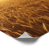 Weizenfeld Poster (Ecke)