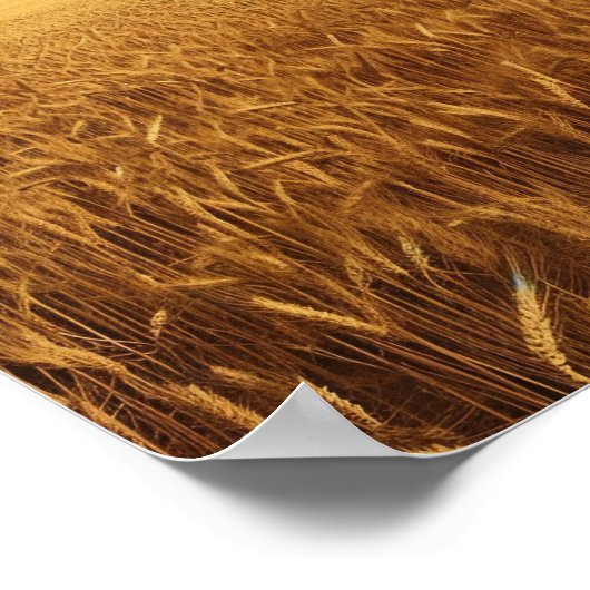 Weizenfeld Poster (Ecke)