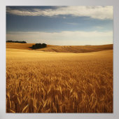 Weizenfeld Poster (Vorne)