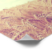 Weizenfeld Poster (Ecke)