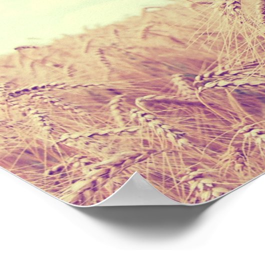 Weizenfeld Poster (Ecke)