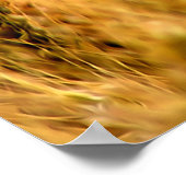 Weizenfeld Poster (Ecke)