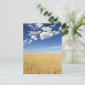 Weizenfeld Postkarte (Stehend Vorderseite)