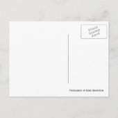 Weizenfeld-Postkarte Postkarte (Rückseite)