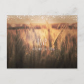 Weizenfeld Rustikale UAWG Hochzeiten Einladungspostkarte (Vorderseite)