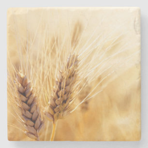 Weizenfeld Steinuntersetzer