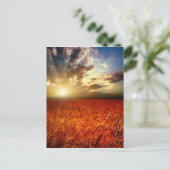 Weizenfeld und Sonnenuntergang Postkarte (Stehend Vorderseite)