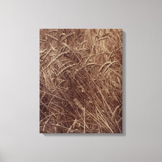 Weizenfeld (von Eugène Atget) Leinwanddruck (Vorderseite)