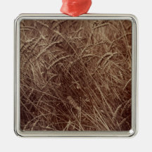 Weizenfeld (von Eugène Atget)