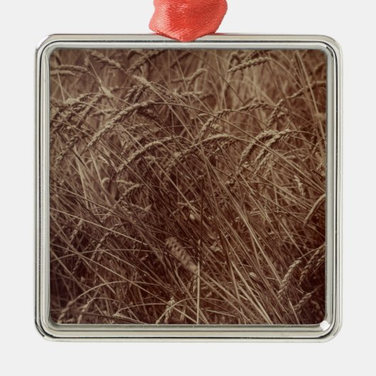 Weizenfeld (von Eugène Atget) Ornament Aus Metall (Vorne)