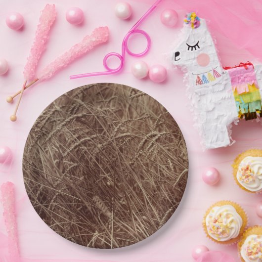 Weizenfeld (von Eugène Atget) Pappteller (Party)