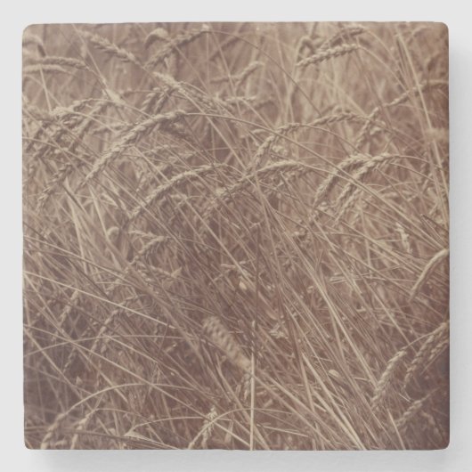 Weizenfeld (von Eugène Atget) Steinuntersetzer (Vorderseite)