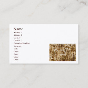 Weizenfeldbild für landwirtschaftliche Fachleute Visitenkarte