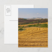 Weizenfelder nach der Ernte Postkarte (Vorne/Hinten)