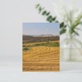Weizenfelder nach der Ernte Postkarte (Stehend Vorderseite)