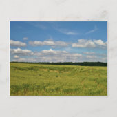 Weizenfelder Postkarte (Vorderseite)