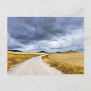 Weizenfelder Postkarte