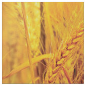 Weizenfelder Stoff (Nahaufnahme)