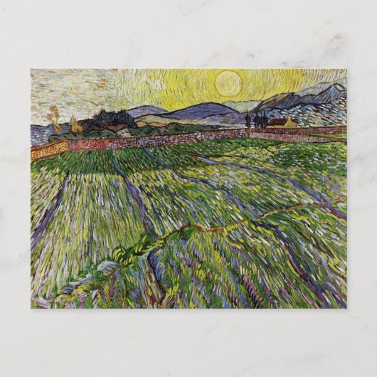 Weizenfelder von Van Gogh Postkarte (Vorderseite)