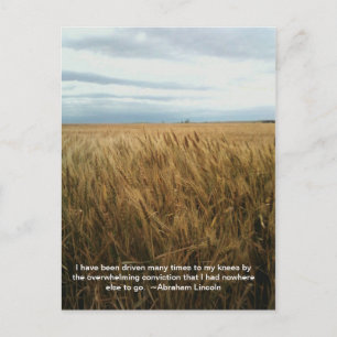 Weizenfeldgebet Postkarte