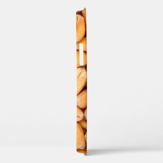 Weizengetreide Case-Mate iPhone Hülle (Rückseite / Rechts)