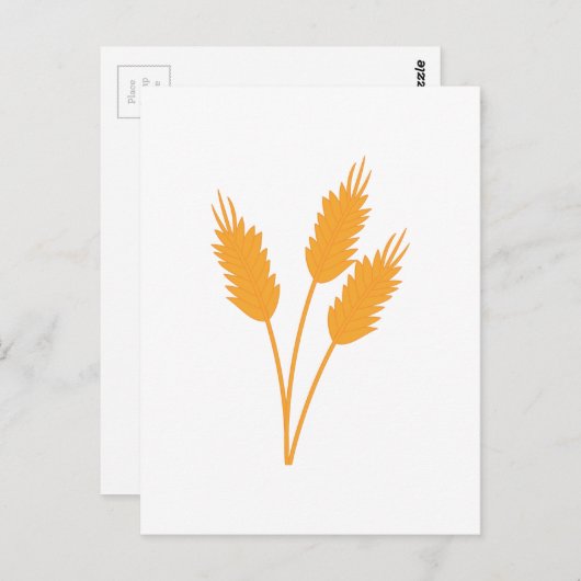 Weizenhalm Postkarte (Vorne/Hinten)