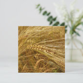 Weizenkörner auf dem Feld. Es ist ernte Zeit! (Stehend Vorderseite)