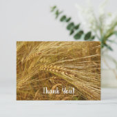 Weizenkörner auf dem Feld. Es ist ernte Zeit! Dankeskarte (Stehend Vorderseite)