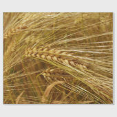 Weizenkörner auf dem Feld. Es ist ernte Zeit! Geschenkpapier (Flach)