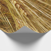 Weizenkörner auf dem Feld. Es ist ernte Zeit! Geschenkpapier (Ecke)