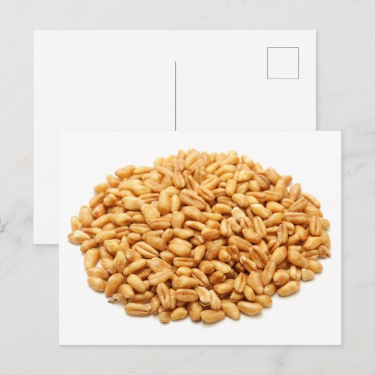 Weizenkörner, ganz postkarte (Vorne/Hinten)