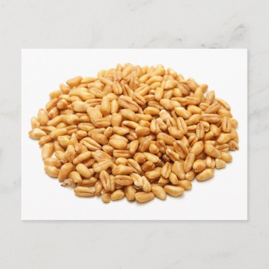 Weizenkörner, ganz postkarte (Vorderseite)