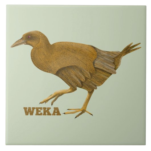 Weka N.Z. bird Fliese (Vorderseite)