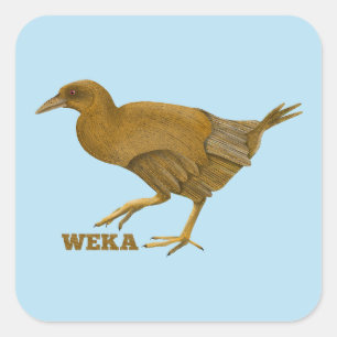 Weka N.Z. bird Quadratischer Aufkleber