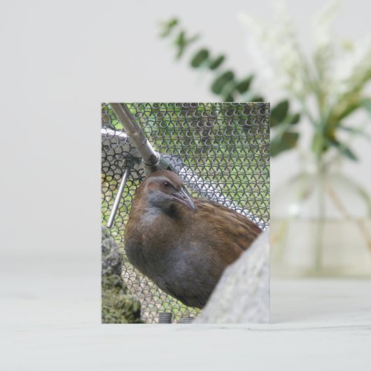 Weka Postkarte (Stehend Vorderseite)