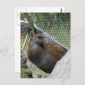 Weka Postkarte (Vorne/Hinten)