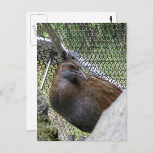 Weka Postkarte (Vorne/Hinten)