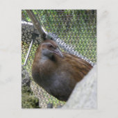 Weka Postkarte (Vorderseite)